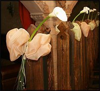www.floristic.ru - .    