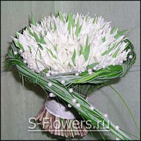 www.floristic.ru - Флористика. Помогите!!!!!