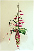 www.floristic.ru - .    -  .