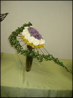 www.floristic.ru - .  