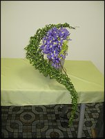 www.floristic.ru - .  