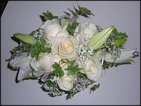 www.floristic.ru - .  .