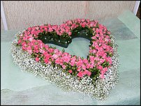 www.floristic.ru - .   