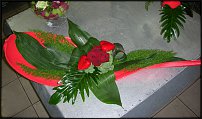 www.floristic.ru - .  ..   2009