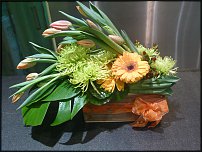 www.floristic.ru - .  .