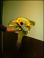 www.floristic.ru - .  .
