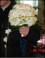 www.floristic.ru - .   .