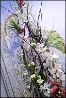 www.floristic.ru - .   .