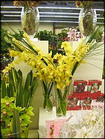 www.floristic.ru - . 