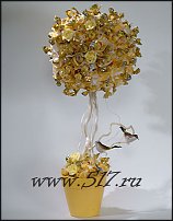 www.floristic.ru - .     -,  ..