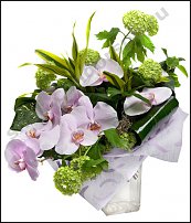 www.floristic.ru - . 