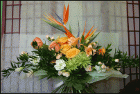 www.floristic.ru - .  