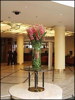 www.floristic.ru - .   .