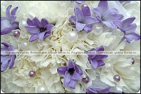 www.floristic.ru - .  .