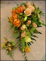 www.floristic.ru - .  .