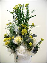 www.floristic.ru - .     -   !