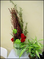 www.floristic.ru - .     -   !