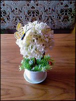 www.floristic.ru - .      .