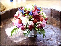 www.floristic.ru - . , ....