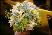 www.floristic.ru - . -     "   " 25.03.2008