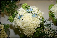 www.floristic.ru - . -     "   " 25.03.2008