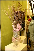 www.floristic.ru - . -     "   " 25.03.2008