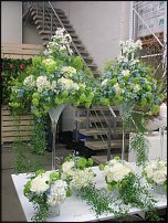 www.floristic.ru - . -     "   " 25.03.2008