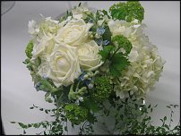 www.floristic.ru - . -     "   " 25.03.2008