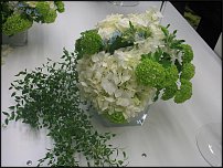 www.floristic.ru - . -     "   " 25.03.2008