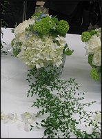 www.floristic.ru - . -     "   " 25.03.2008