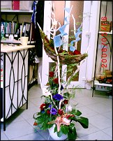 www.floristic.ru - .  .