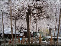     
: DSC07630 ().jpg
: 328
:	387.9 
ID:	12281