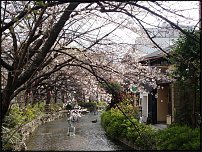     
: DSC07765 ().jpg
: 302
:	309.2 
ID:	12291