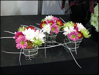 www.floristic.ru - .    (, - )