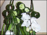 www.floristic.ru - .  .