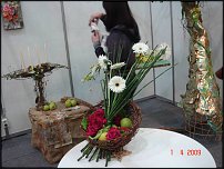 www.floristic.ru - .    (, - )