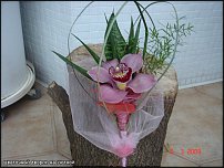 www.floristic.ru - . !!!!!