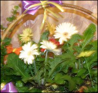 www.floristic.ru - Флористика. Минисад. Композиции с горшечными