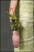 www.floristic.ru - .    