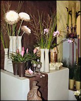 www.floristic.ru - .       - ?