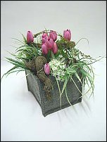 www.floristic.ru - .      .