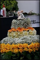 www.floristic.ru - Флористика. Помогите!!!!!