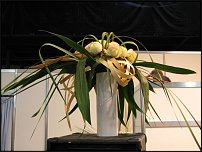 www.floristic.ru - . . .    .