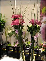 www.floristic.ru - .   