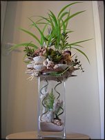 www.floristic.ru - .   .