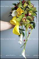 www.floristic.ru - .  .