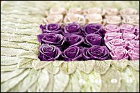 www.floristic.ru - .     -   !