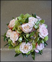 www.floristic.ru - .  .