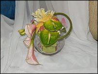 www.floristic.ru - .   .