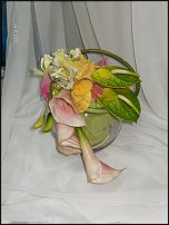 www.floristic.ru - .   .